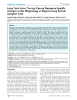 Long-term gene therapy causes transgene-specific changes in the morphology of regenerating retinal ganglion cells