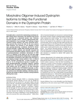 Morpholino oligomer-induced dystrophin isoforms to map the functional domains in the dystrophin protein