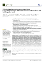 Carbohydrate partitioning, growth and ionic compartmentalisation of wheat grown under boron toxic and salt degraded land