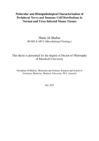Molecular and histopathological characterisation of peripheral nerve and immune cell distributions in normal and virus infected mouse tissues