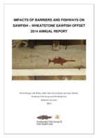 Impacts of barriers and fishways on sawfish – Wheatstone sawfish offset 2014 annual report. Report to Western Australian Marine Science Institution