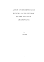 Action of autochthonous bacteria on the decay of enteric viruses in groundwater
