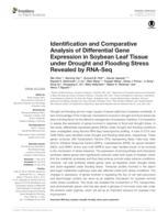 Identification and comparative analysis of differential gene expression in soybean leaf tissue under drought and flooding stress revealed by RNA-Seq