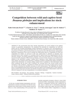 Competition between wild and captive-bred Penaeus plebejus and implications for stock enhancement