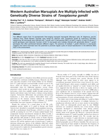 Western Australian marsupials are multiply infected with genetically diverse strains of Toxoplasma gondii
