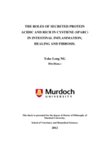 The roles of secreted protein acidic and rich in cystiene (Sparc) in intestinal inflammation, healing and fibrosis