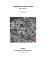 Collie and Pemberton Landsat TM Scenes Salinity Mapping: A report from the NHT-funded project Land Monitor