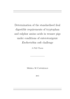Determination of the standardised ileal digestible requirements of tryptophan and sulphur amino acids in weaner pigs under conditions of enterotoxigenic Escherichia coli challenge