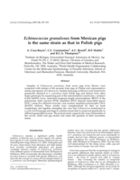 Echinococcus granulosus from Mexican pigs is the same strain as that in Polish pigs