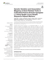 Genetic variation and association mapping of seed-related traits in cultivated peanut (Arachis hypogaea L.) using single-locus simple sequence repeat markers