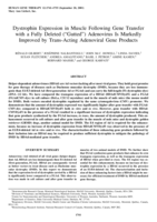 Dystrophin expression in muscle following gene transfer with a fully deleted ("Gutted") adenovirus is markedly improved by Trans-acting adenoviral gene products