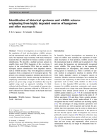 Identification of historical specimens and wildlife seizures originating from highly degraded sources of kangaroos and other macropods