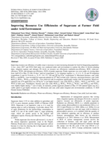 Improving resource use efficiencies of sugarcane at farmer field under arid environment
