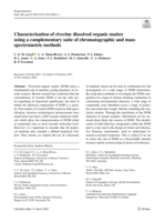 Characterisation of riverine dissolved organic matter using a complementary suite of chromatographic and mass spectrometric methods