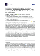 LreEF1A,, a translation elongation factor from Lilium regale, Is pivotal for cucumber mosaic virus and tobacco rattle virus infections and tolerance to salt and drought
