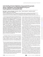 Csk-binding protein mediates sequential enzymatic down-regulation and degradation of Lyn in erythropoietin-stimulated cells