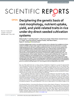 Deciphering the genetic basis of root morphology, nutrient uptake, yield, and yield-related traits in rice under dry direct-seeded cultivation systems