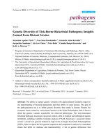 Genetic Diversity of Tick-Borne Rickettsial Pathogens; Insights Gained from Distant Strains