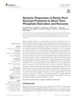 Dynamic responses of barley root Succinyl-Proteome to Short-Term phosphate starvation and recovery