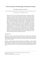 The process chemistry and mineralogy of brannerite leaching