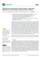 Identification of biomarker volatile organic compounds released by three stored-grain insect pests in wheat