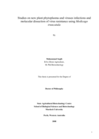 Studies on new plant phytoplasma and viruses infections and molecular dissection of virus resistance using Medicago truncatula