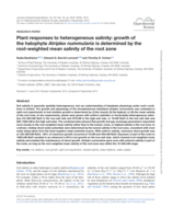 Plant responses to heterogeneous salinity: Growth of the halophyte Atriplex nummularia is determined by the root-weighted mean salinity of the root zone