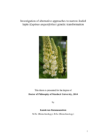 Investigation of alternative approaches to narrow-leafed lupin (Lupinus angustifolius) genetic transformation