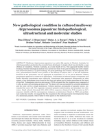 New pathological condition in cultured mulloway Argyrosomus japonicus: histopathological, ultrastructural and molecular studies