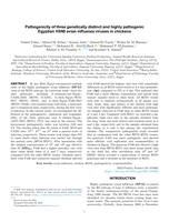 Pathogenicity of three genetically distinct and highly pathogenic Egyptian H5N8 avian influenza viruses in chickens
