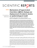 Mechanisms of hypervirulent Clostridium difficile ribotype 027 displacement of endemic strains: an epidemiological model