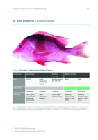 Red Emperor Lutjanus sebae, In M Flood, I Stobutzki, J Andrews, G Begg, W Fletcher, C Gardner, J Kemp, A Moore, A O'Brien, R Quinn, J Roach, K Rowling, K Sainsbury, T Saunders, T Ward & M Winning (eds), Status of key Australian fish stocks reports 2012