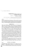 Pathophysiology of Mesocestoides corti infection in the mouse