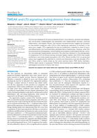 TWEAK and LTβ signaling during chronic liver disease