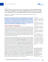 Super-Pangenome by integrating the wild side of a species for accelerated crop improvement