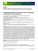 Ecological disequilibrium drives insect pest and pathogen accumulation in non-native trees
