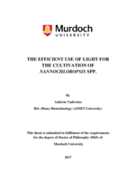 The efficient use of light for the cultivation of Nannochloropsis SPP.