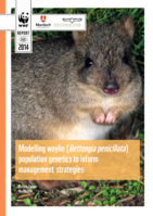 Modelling woylie (Bettongia penicillata) population genetics to inform management strategies