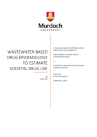 Wastewater-based drug epidemiology to estimate societal drug use: A critical review