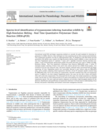 Species-level identification of trypanosomes infecting Australian wildlife by High-Resolution Melting - Real Time Quantitative Polymerase Chain Reaction (HRM-qPCR)