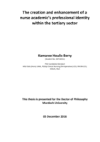 The creation and enhancement of a nurse academic’s professional identity within the tertiary sector