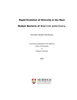 Rapid evolution of diversity in the root nodule bacteria Biserrula plecinus L