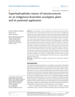 Superhydrophobic nature of nanostructures on an indigenous Australian eucalyptus plant and its potential application