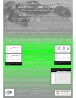 Production and distribution of Exotoxin A in a dermal wound infected by Pseudomonas aeruginosa