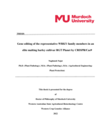 Gene editing of the representative WRKY family members in an elite malting barley cultivar RGT Planet by CRISPR/Cas9