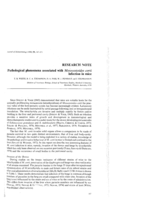 Pathological phenomena associated with Mesocestoides corti infection in mice
