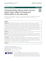 Chorioamnionitis induces enteric nervous system injury: Effects of timing and inflammation in the ovine fetus