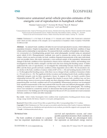 Noninvasive unmanned aerial vehicle provides estimates of the energetic cost of reproduction in humpback whales