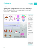 PPARα and PPARγ activation is associated with pleural mesothelioma invasion but therapeutic inhibition is ineffective