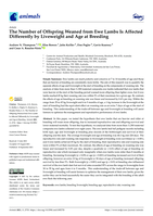 The number of offspring weaned from ewe lambs is affected differently by liveweight and age at breeding